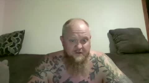 up_bear10 online show from 21, 6, 2026