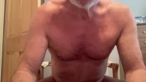 Oak Cock online show from 5, 12, 2024