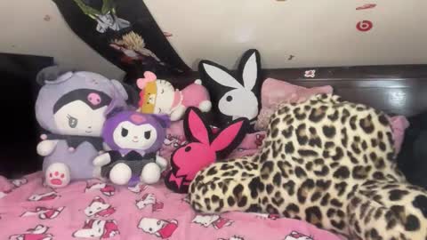 urlittlekittylana online show from 14, 1, 2026