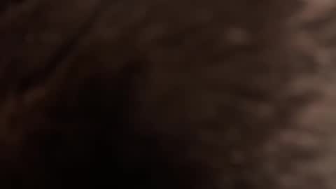 urmissalice online show from 22, 2, 2026