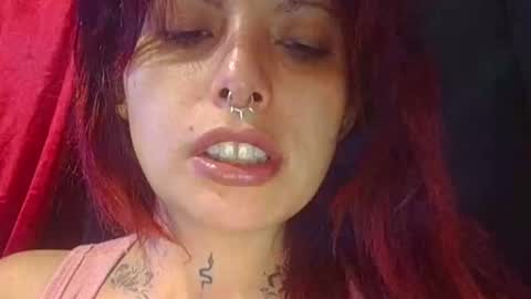 Aniie online show from 20, 4, 2026