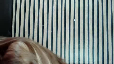 Jane online show from 25, 2, 2025