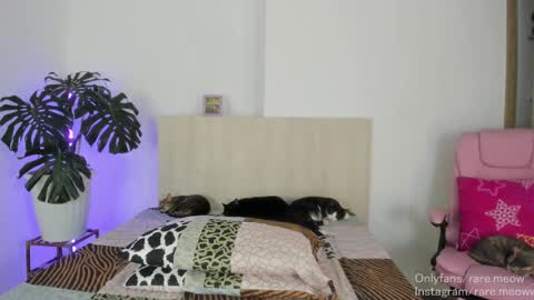    online show from 28, 4, 2026