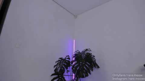    online show from 29, 4, 2026