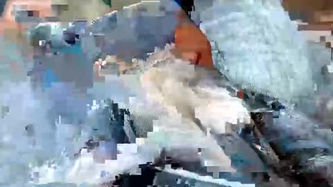 usabound online show from 16, 10, 2025