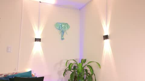 vainilla_secret online show from 1, 8, 2026