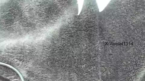 Vaiolet1314 online show from 26, 1, 2025