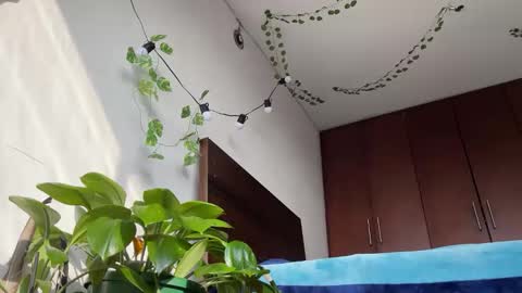   Valentin  independent Cam Boy     online show from 11, 3, 2025