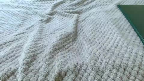 VALKA online show from 25, 4, 2026