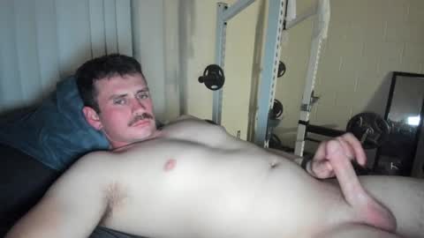 Vandal2021 online show from 8, 3, 2025