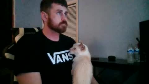 Vandal2021 online show from 20, 11, 2025