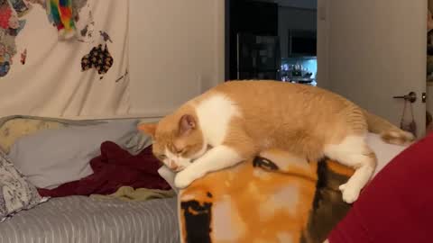 Vanessa  online show from 15, 12, 2025