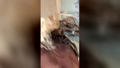 vanessareed_ online show from 4, 5, 2026