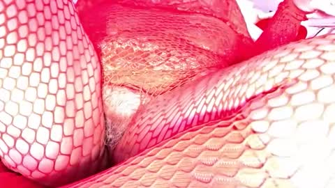 Snapshot of veheveun chatting on 18, 12, 2025 Vehe Veun online show from 18, 12, 2025