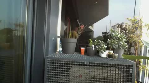 veleskroom online show from 20, 4, 2026