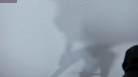 veneno hot online show from 8, 2, 2025