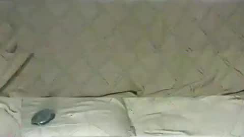 ventura50 online show from 6, 3, 2025