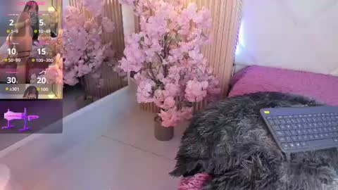 veronica_hill_ online show from 18, 6, 2026
