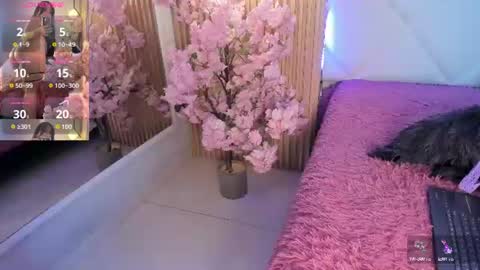 veronica_hill_ online show from 20, 6, 2026