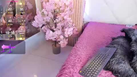 veronica_hill_ online show from 24, 6, 2026