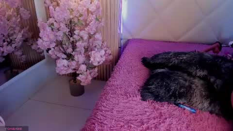 veronica_hill_ online show from 1, 7, 2026