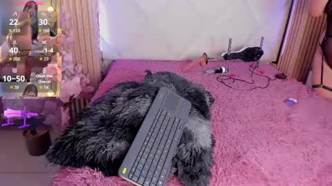 veronica_hill_ online show from 2, 7, 2026