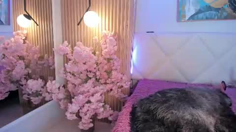veronica_hill_ online show from 10, 7, 2026