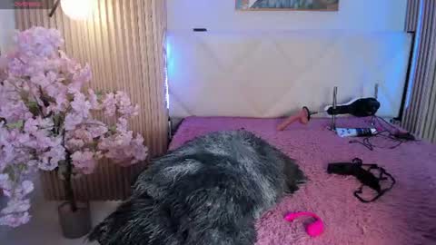 veronica_hill_ online show from 29, 7, 2026