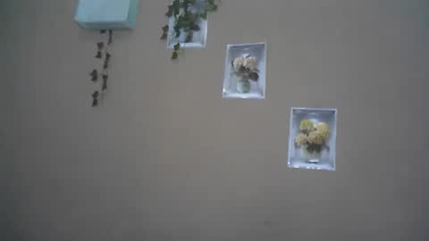 verronique1511 online show from 22, 4, 2026