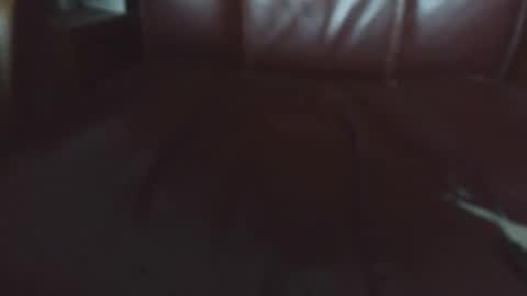 Erik online show from 20, 4, 2026