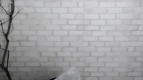 Snapshot of veryveryshygirl chatting on 28, 12, 2024 Ana online show from 28, 12, 2024