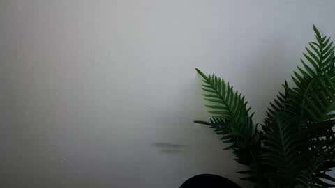 Snapshot of veryveryshygirl chatting on 30, 9, 2025 Ana online show from 30, 9, 2025