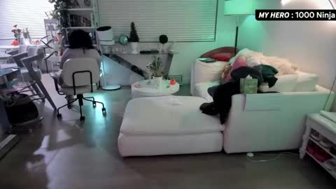 vesafine online show from 29, 11, 2025