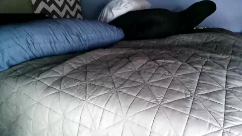 Snapshot of vexnew chatting on 2, 11, 2025 Vexnew online show from 2, 11, 2025