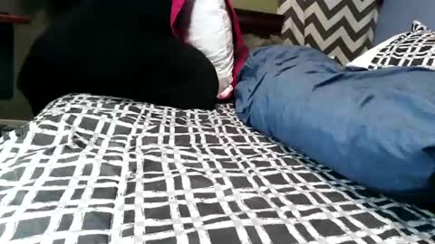 Snapshot of vexnew chatting on 21, 2, 2026 Vexnew online show from 21, 2, 2026