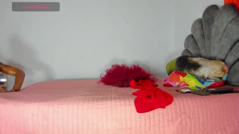vicky manuela online show from 1, 5, 2026