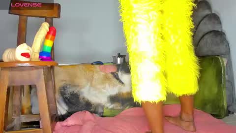 vicky manuela online show from 25, 6, 2026