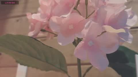 vickyvalencia2 online show from 19, 7, 2026