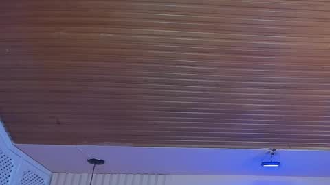 Viiolett online show from 1, 10, 2025