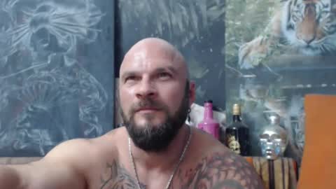 viking online show from 15, 9, 2025