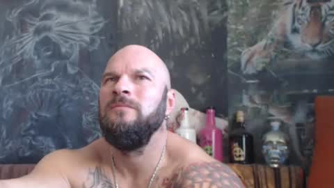 viking online show from 25, 10, 2025