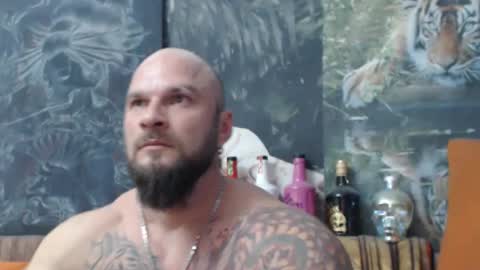 viking online show from 4, 11, 2025