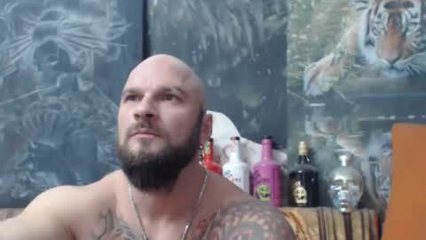 viking online show from 17, 11, 2025