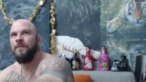 viking online show from 24, 2, 2026