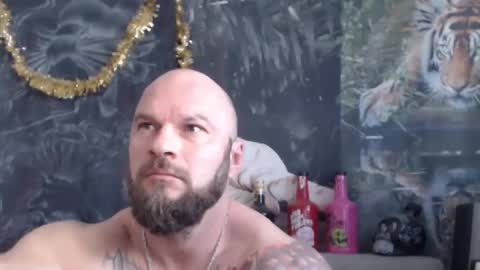 viking online show from 31, 3, 2026