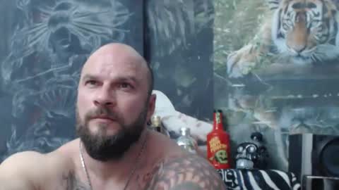 viking online show from 17, 4, 2026