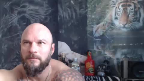 viking online show from 22, 4, 2026