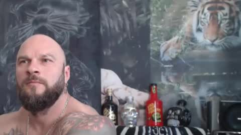 viking online show from 24, 4, 2026