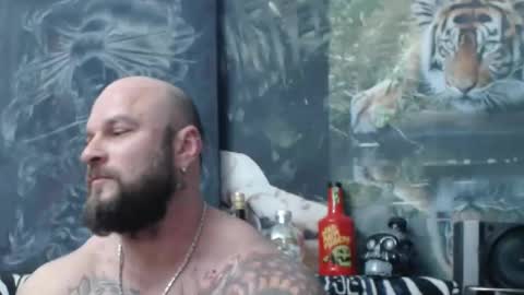 viking online show from 25, 4, 2026