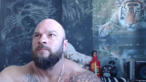 viking online show from 26, 4, 2026